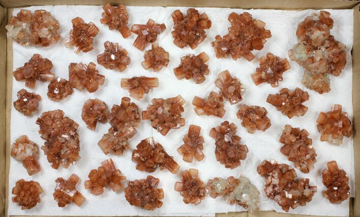 Lot: Assorted Twinned Aragonite Clusters - Pieces #134144